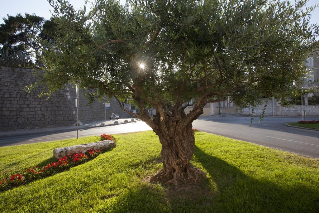 Apartmani Luca Split Exteriér fotografie